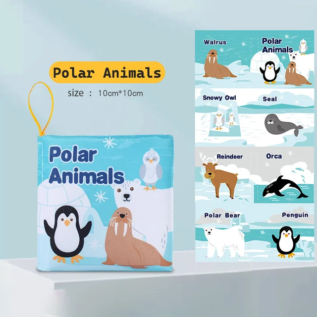 Educational Visual Book