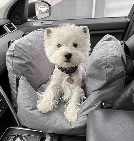 Baby Crab™ Dog Bed